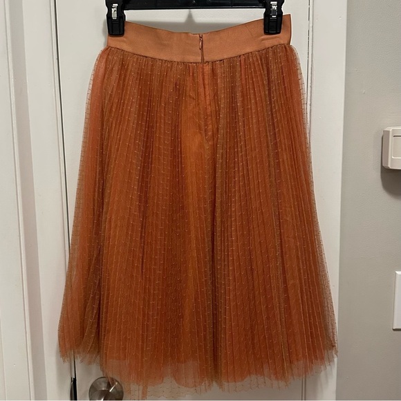 Elisabetta Franchi La Mia Bambina Rosa Se Vuoi Puoi Dobby Mesh Skirt Women’s XS - Picture 2 of 12